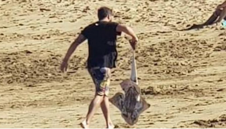 Detenido un pescador furtivo por capturar un angelote en una playa de Telde