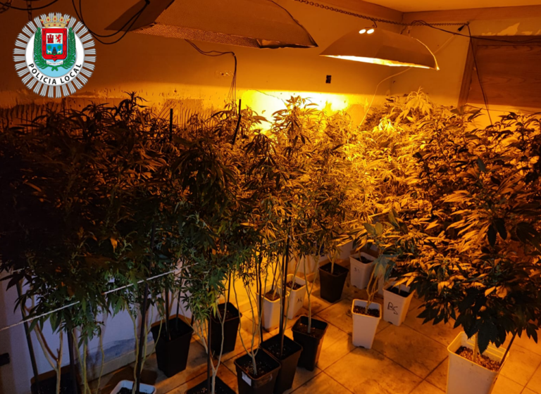 Intervienen 25 plantas de marihuana en un piso de Guanarteme en Las Palmas de Gran Canaria