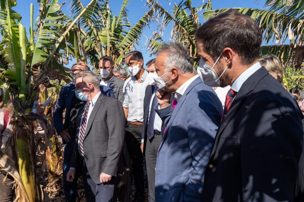 Luz verde a la adaptación del Posei para agricultores afectados por el volcán