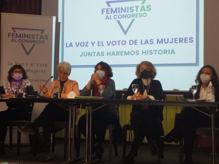 Nace Feministas al Congreso, un nuevo partido que pondrá el foco en la agenda feminista