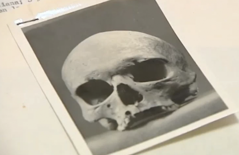 Investigadores canarios estudian restos aborígenes en el Museo del Hombre de París