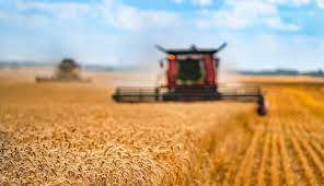 Las exigencias verdes, Marruecos o EEUU marcan la agenda comercial de 2022