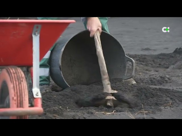 Luis y su familia regresan a su casa con mucho trabajo por delante