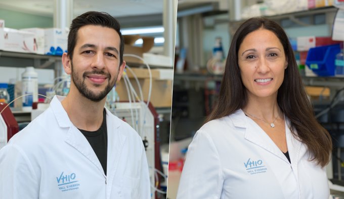 Un fármaco para tumores primarios funciona también en metástasis de mama