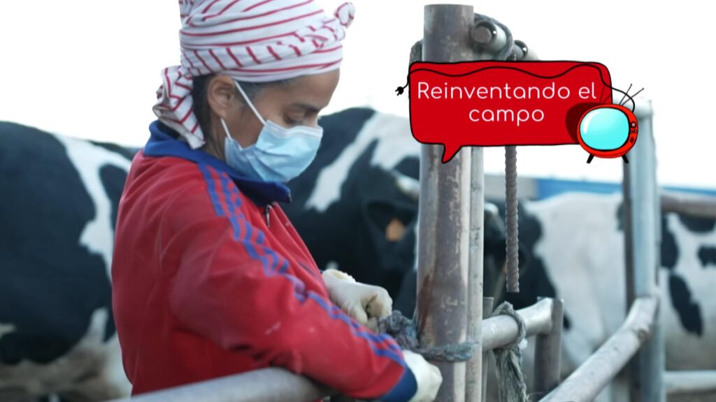 ‘Noveleros’ conoce a cuatro mujeres rurales