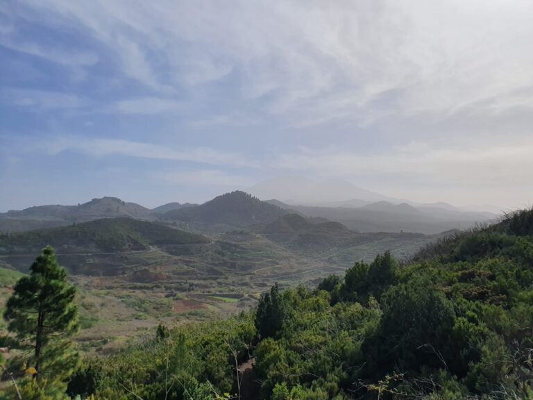 Canarias ha tenido uno de los eneros más cálidos de los últimos sesenta años