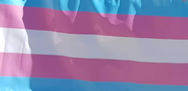 Día Internacional de la Visibilidad Trans