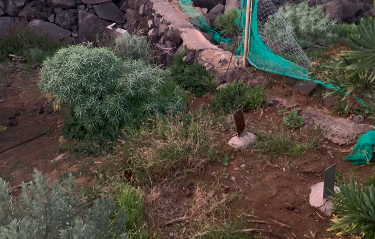 Roban en una de las estaciones sísmicas de vigilancia volcánica de La Palma