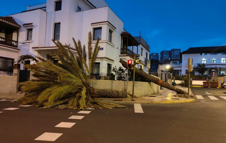 El viento provoca numerosos incidentes, entre ellos la caída de un muro sobre una guagua municipal