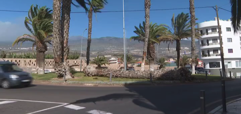 Canarias sufre los efectos de la borrasca ‘Celia’