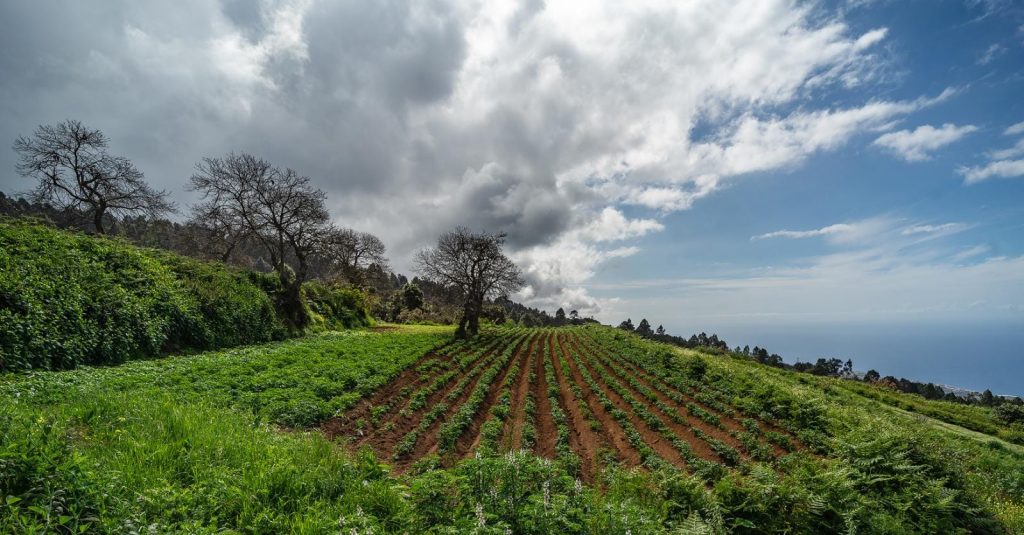 El colectivo de agrónomos pide una clasificación de las explotaciones ganaderas dentro de la normativa de las Directrices de Ordenación del Suelo Agrario