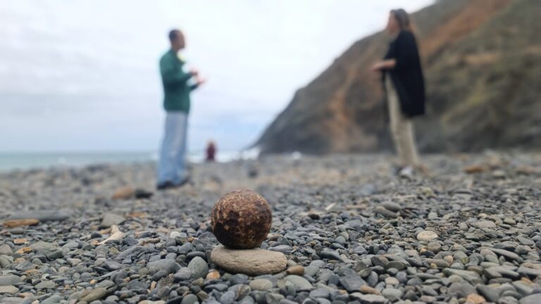 El misterio de la «Mosca»