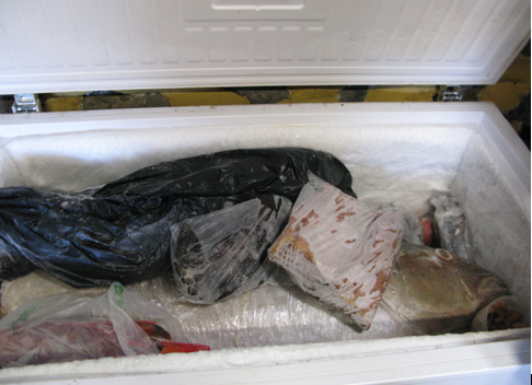 La Guardia Civil retira más de cien kilos de un restaurante de El Hierro