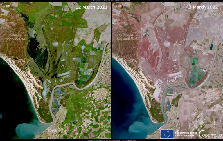 El Parque Nacional de Doñana sufre los efectos del cambio climático