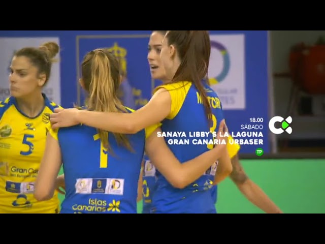 Serie final de la Liga Iberdrola de voleibol