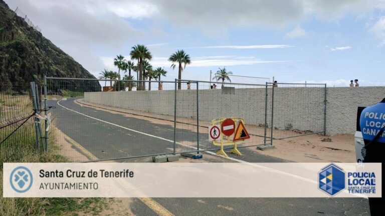 El viento deja desprendimientos y caídas de árboles en Canarias