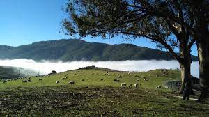 TVC estrena el documental canario ‘Los que nunca se fueron’