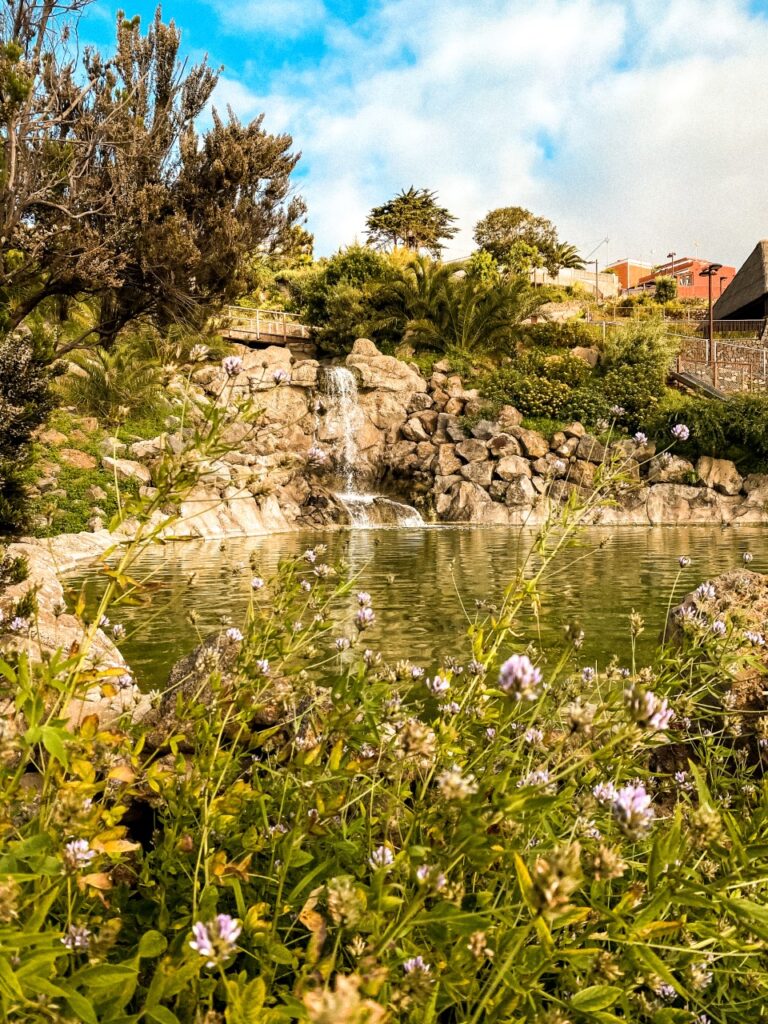 Ingresan en prisión dos implicados en el homicidio de un joven en Tabaiba, Tenerife