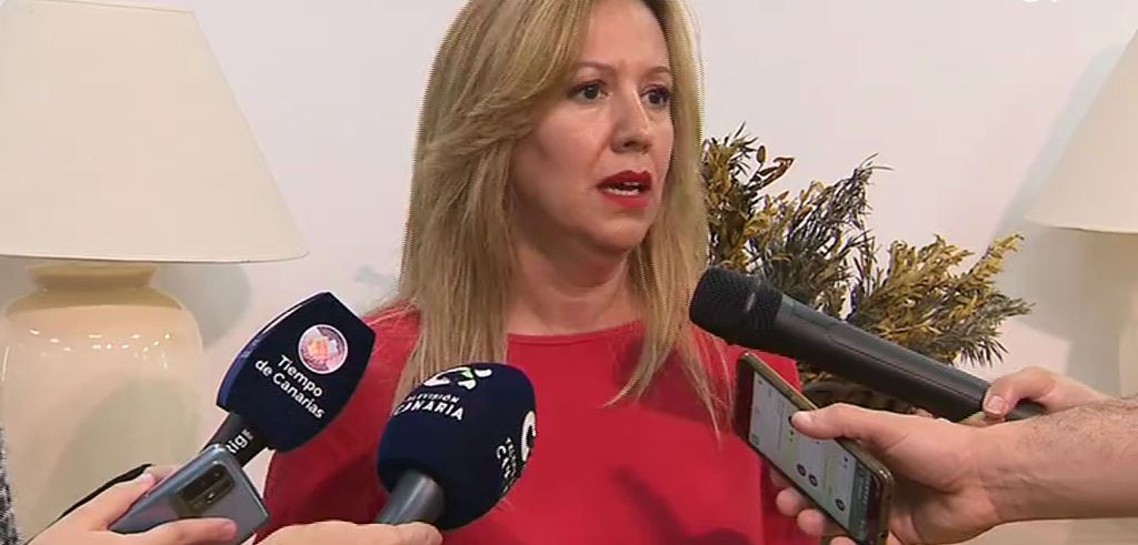La diputada del Grupo Nacionalista Canario (CC-PNC-AHI), Rosa Dávila, ha denunciado este miércoles que el Gobierno de Canarias no ha adoptado ninguna medida para aliviar los efectos de la inflación sobre las economías más vulnerables mientras registra "cifras récord" de recaudación.