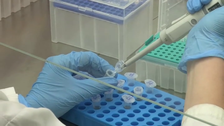 Sanidad endurece el protocolo de actuación ante el virus del mono