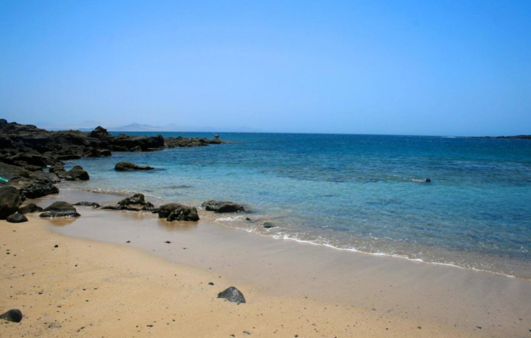 ULL, ULPGC y Loro Parque logran apoyo institucional para el santuario de biodiversidad macaronésico