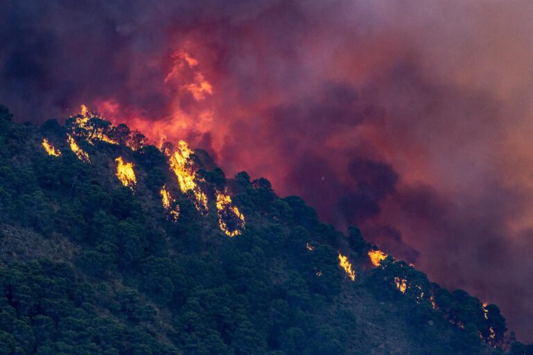 Estabilizado el incendio forestal de Pujerra que ha quemado más de 2.000 hectáreas