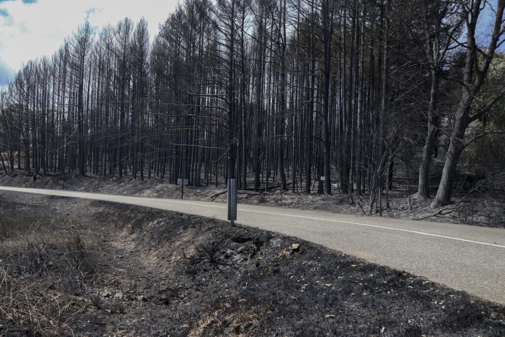 El clima ayuda a apagar el fuego en Zamora, el mayor de la historia de España