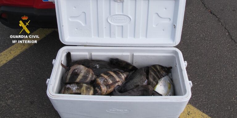 Incautados 45 kilos de pescado capturados de forma ilegal en El Hierro