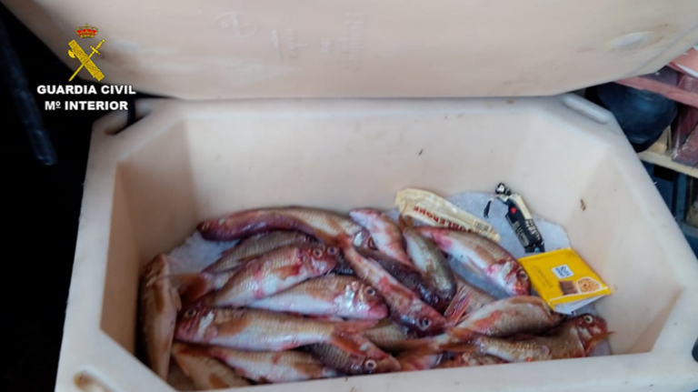 Denuncian a tres pescadores furtivos y a un restaurante por pesca y comercialización ilegal en Fuerteventura