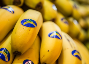 El precio del plátano se dispara por la escasez y el impacto del clima en Canarias