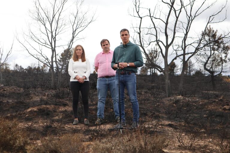 El Gobierno declara zona catastrófica por incendios en seis comunidades