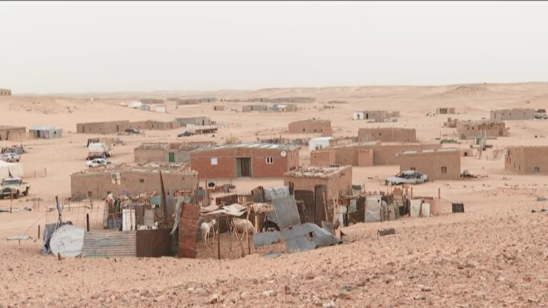 Sobrevivir en el destierro 