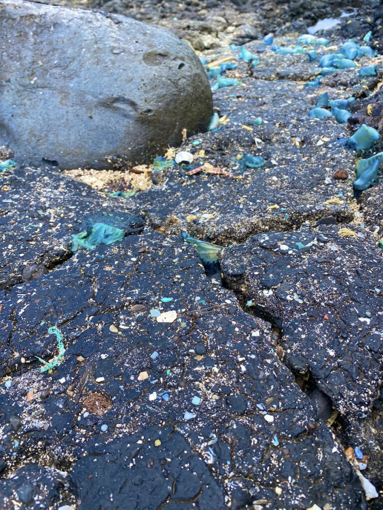 Plastitar, nuevo tipo de contaminación en las costas canarias