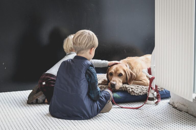 Crean una campaña en redes sociales para recaudar fondos para la terapia de su hija con perros especializados en TEA