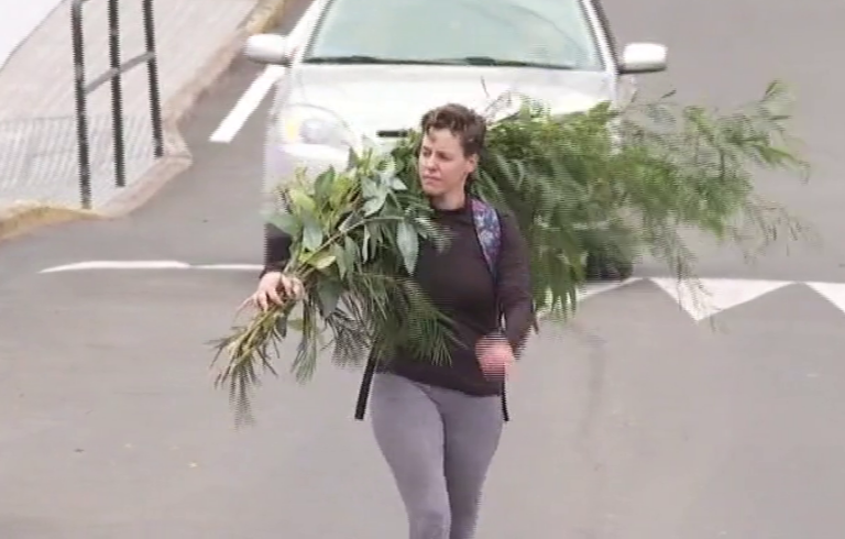 Dan comienzo las fiestas de San Pedro en el Valle de Agaete