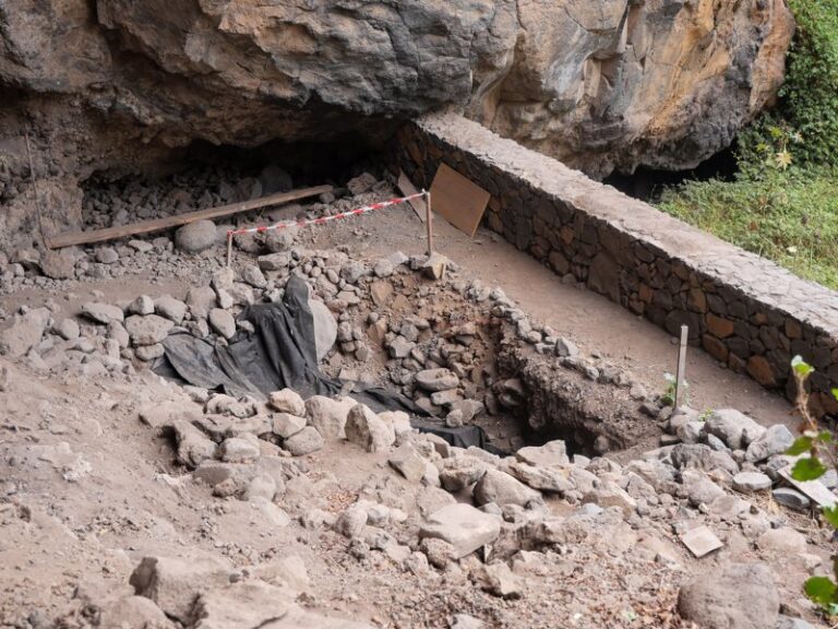 La Palma reactiva los proyectos para abrir al público el yacimiento de El Tendal