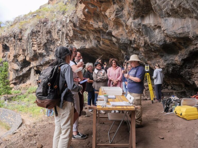 Encuentran una gran cantidad de restos arqueológicos en la Cueva del Tendal, en La Palma