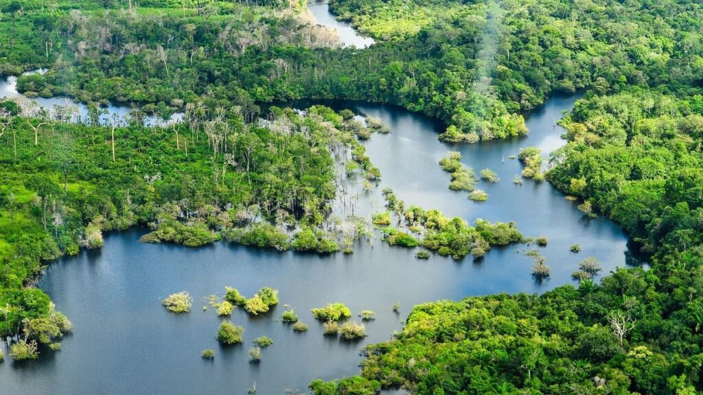 Río Amazonas. EUROPA PRESS
