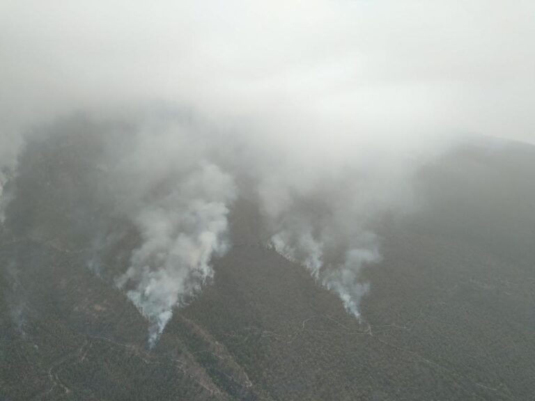 El incendio de Tenerife sigue sin control, pero la falta de viento y la ausencia de nubes ayudan en la extinción