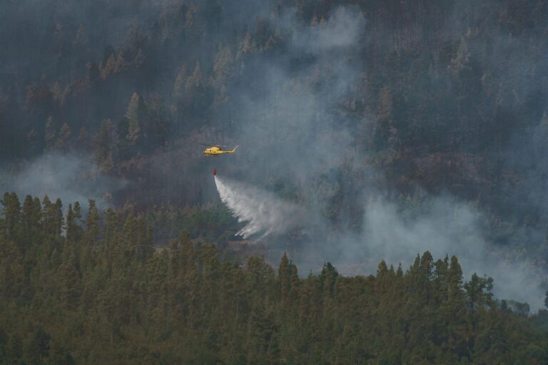 Más del 50 por ciento de los incendios están provocados por personas