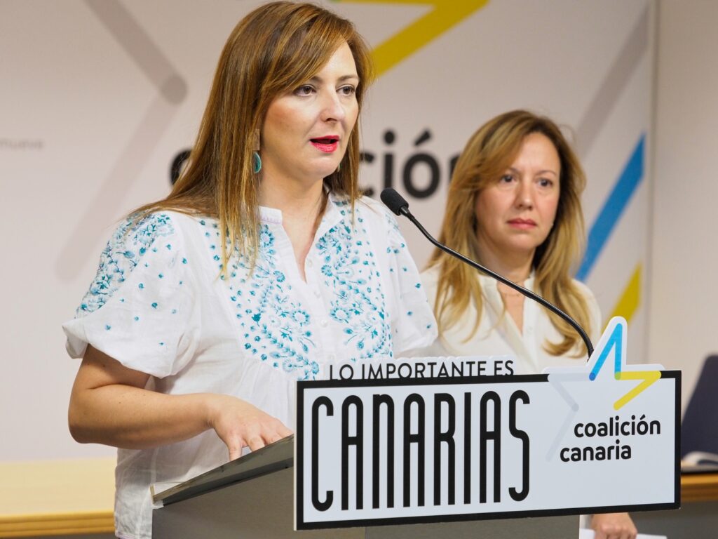 Nieves Lady Barreto en la rueda de prensa por las rebajas fiscales