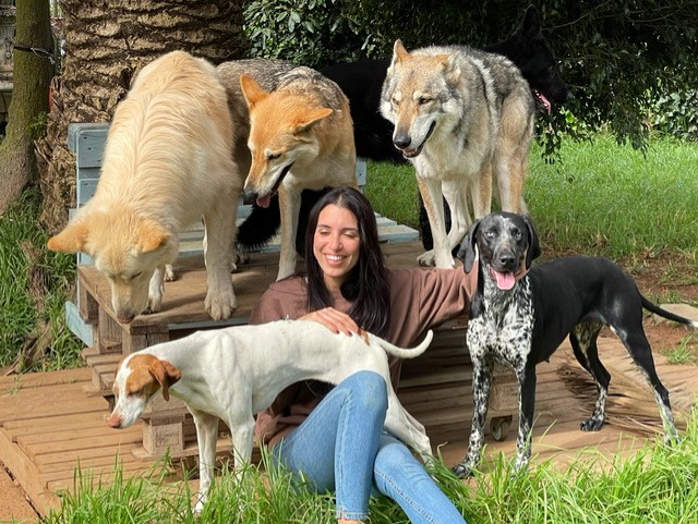 ‘Noche de reportajes’ aborda la Ley de Protección Animal