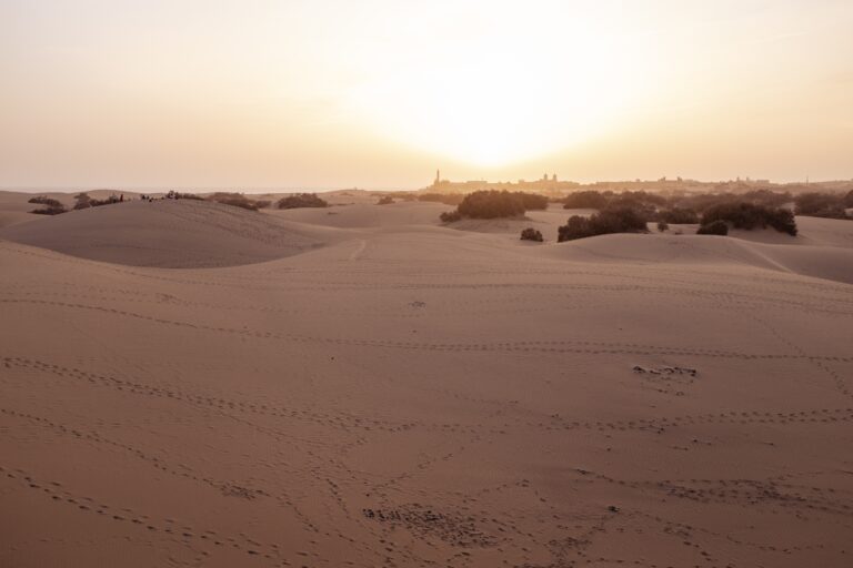 El calor extremo disparó la mortalidad un 26,8 % en Canarias