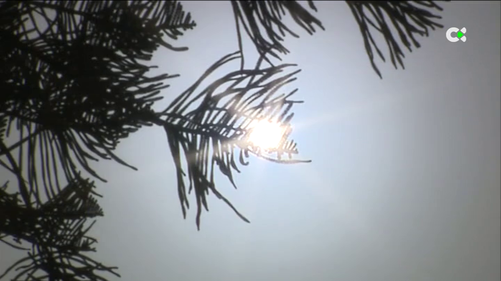 Canarias vivió el diciembre más cálido desde 1961