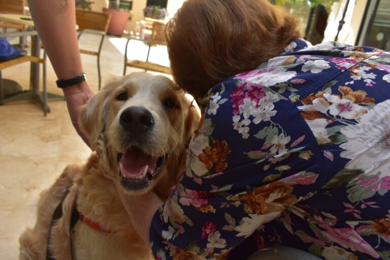 Las intervenciones asistidas con perros incrementan notablemente tras la pandemia