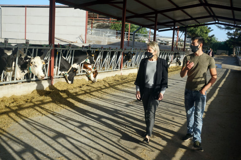 El Gobierno regional destina 319.000 euros a los ganaderos para mitigar los efectos de la guerra de Ucrania