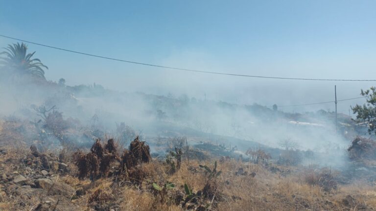 Controlado el conato de incendio en Tijarafe, en La Palma