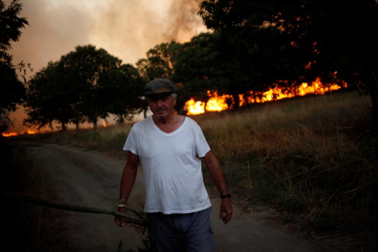 37 grandes incendios forestales arrasan más de 160.000 hectáreas en España