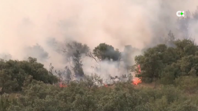 Los incendios de Vall d’Ebo y Bejís, en la Comunidad Valenciana, calcinan más de 21.000 hectáreas