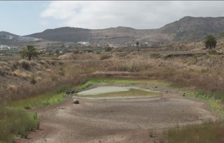 Las Charcas de San Lorenzo en Las Palmas de Gran Canaria vuelven a perder agua